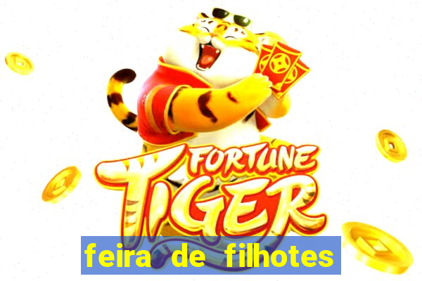 feira de filhotes porto alegre